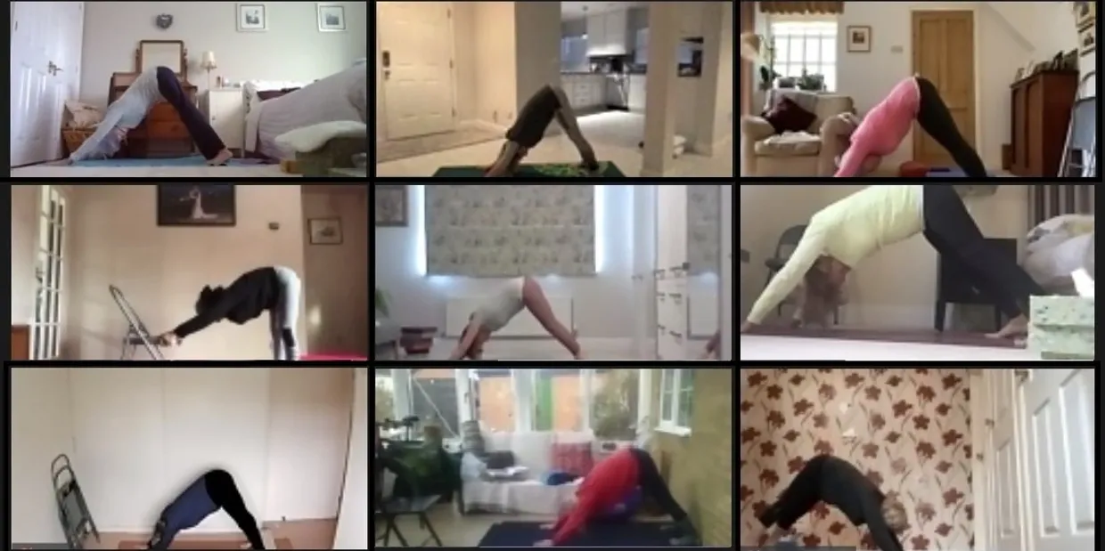YogSutra live Zoom class — women practising yoga together from home